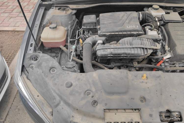 Used BYD Qin PLUS 2023 Champion Edition DM-i 120KM Leading Model Engine Bay Right