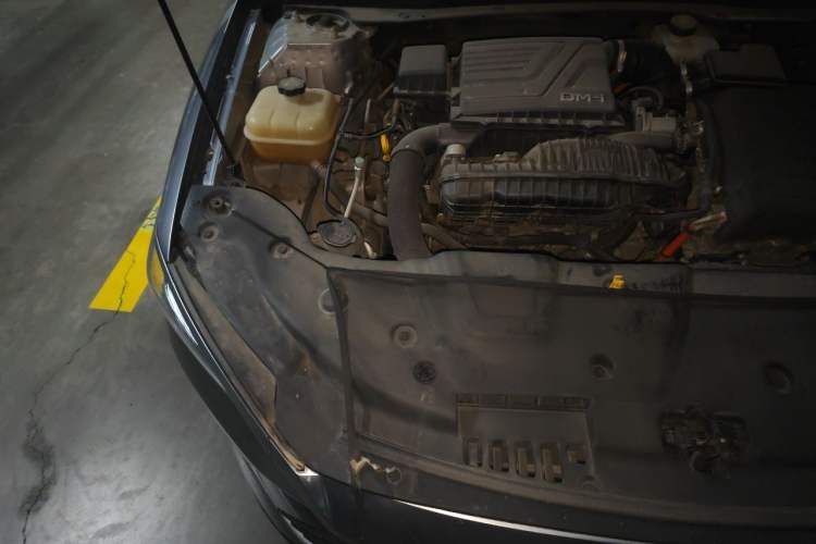 Used BYD Qin PLUS 2023 Champion Edition DM-i 55KM Superior Model Engine Bay Right
