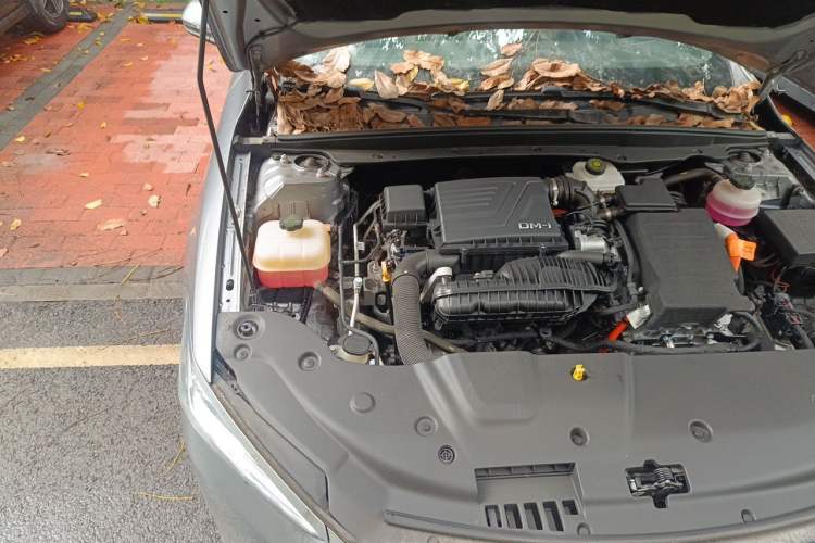 Used BYD Qin PLUS 2023 Champion Edition DM-i 55KM Leading Model Engine Bay Right