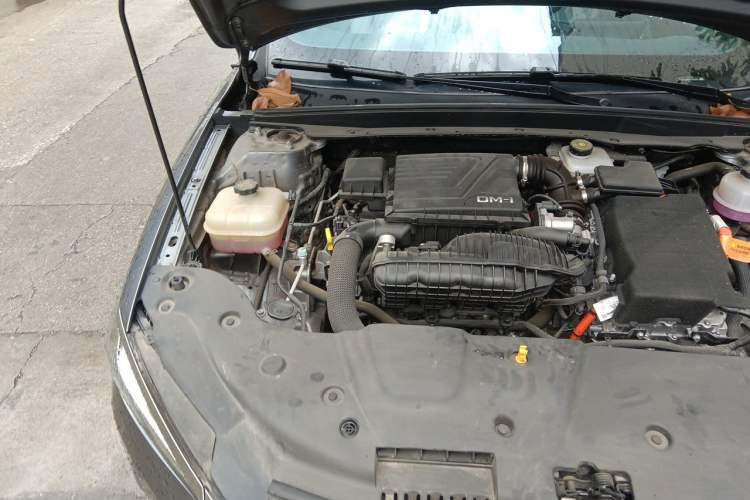 Used BYD Qin PLUS 2023 Champion Edition DM-i 55KM Leading Model Engine Bay Right
