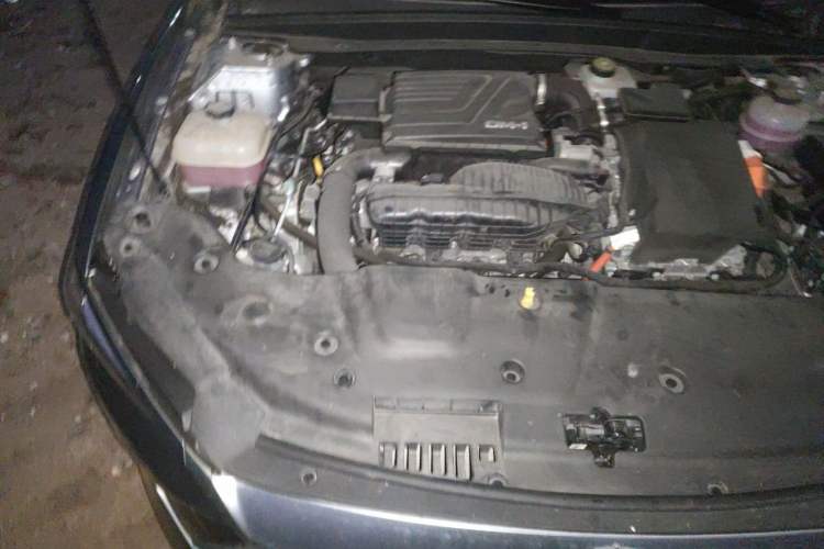 Used BYD Qin PLUS 2023 Champion Edition DM-i 120KM Leading Model Engine Bay Right