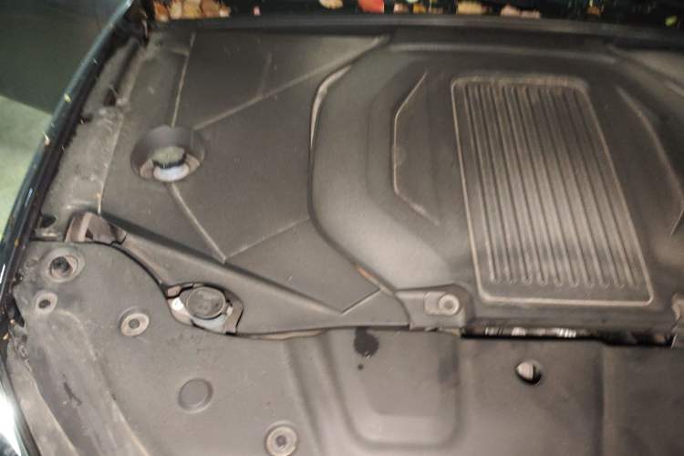 Used BYD Qin PLUS 2023 Champion Edition EV 420KM Leading Model Engine Bay Right