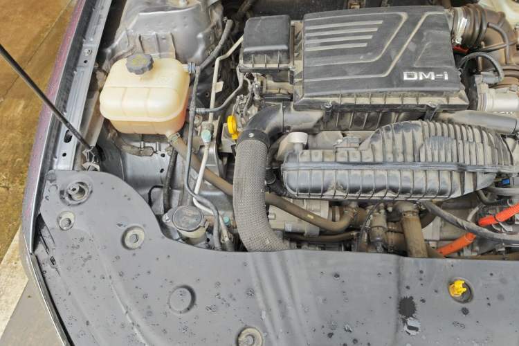 Used BYD Qin PLUS 2023 Champion Edition DM-i 55KM Leading Model Engine Bay Right