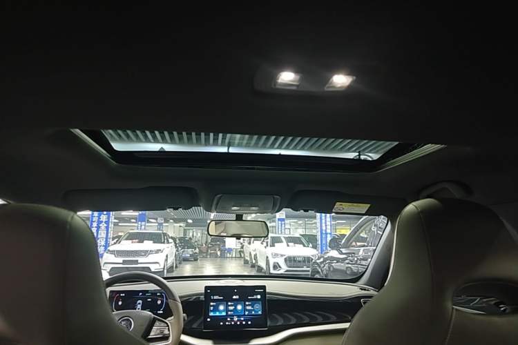 Used BYD Qin PLUS 2023 Champion Edition EV 420KM Superior Model Headliner