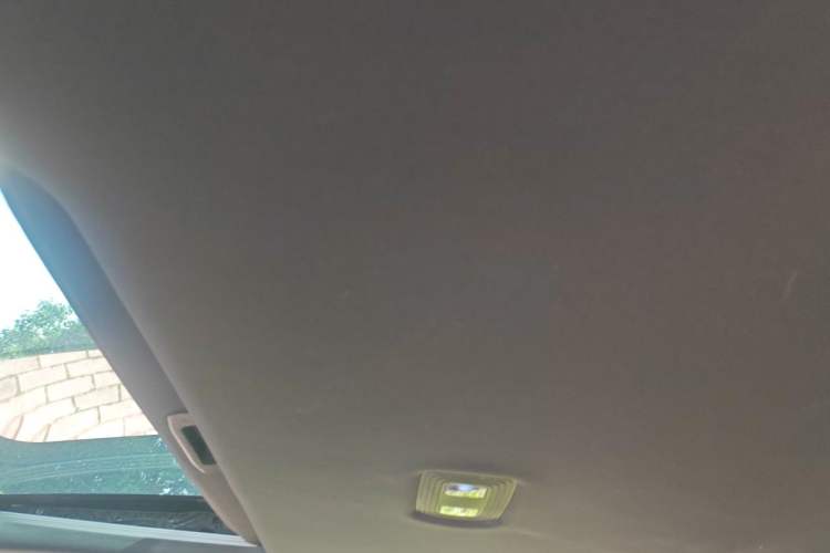 Used BYD Qin PLUS 2023 Champion Edition EV 420KM Superior Model Headliner