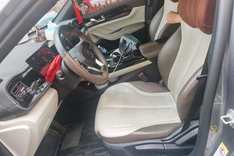Used BYD Qin PLUS 2023 Champion Edition DM-i 55KM Leading Model Left Front Seat
