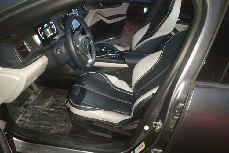 Used BYD Qin PLUS 2023 Champion Edition DM-i 120KM Leading Model Left Front Seat