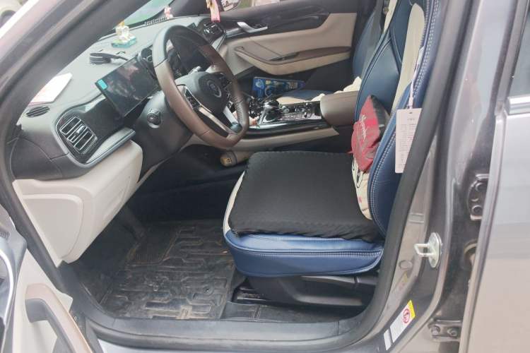 Used BYD Qin PLUS 2023 Champion Edition DM-i 55KM Leading Model Left Front Seat