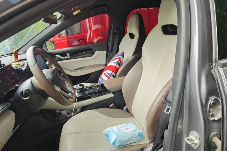Used BYD Qin PLUS 2023 Champion Edition DM-i 55KM Leading Model Left Front Seat