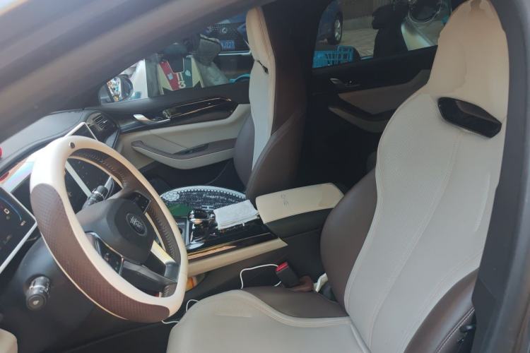 Used BYD Qin PLUS 2023 Champion Edition DM-i 55KM Leading Model Left Front Seat