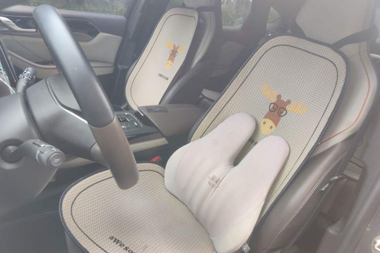 Used BYD Qin PLUS 2023 Champion Edition EV 420KM Superior Model Left Front Seat
