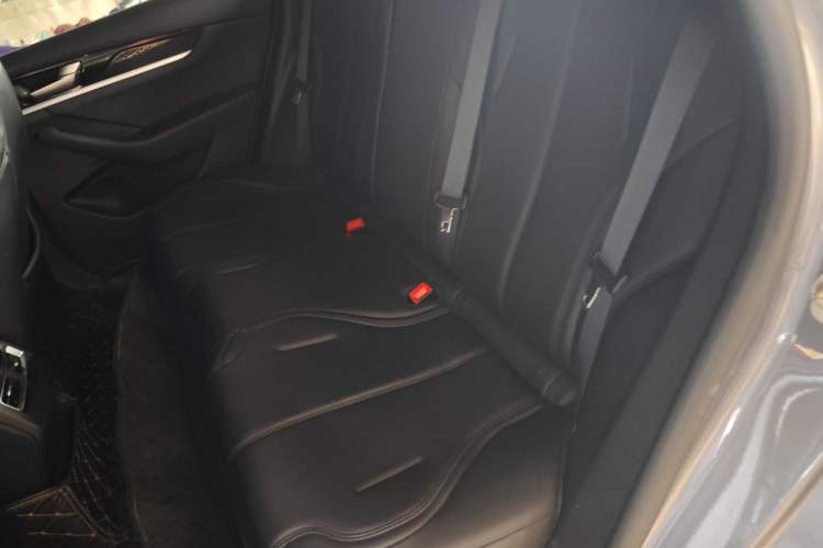Used BYD Qin PLUS 2023 EV 510KM Travel Edition Left Rear Seat