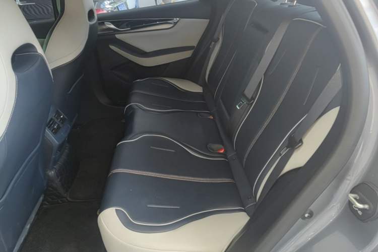 Used BYD Qin PLUS 2023 Champion Edition DM-i 120KM Excellence Model Left Rear Seat