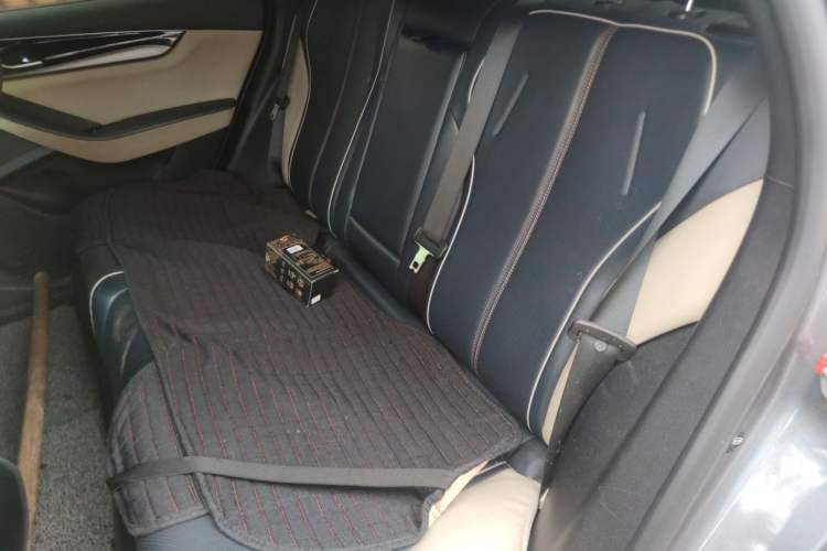 Used BYD Qin PLUS 2023 Champion Edition EV 420KM Leading Model Left Rear Seat