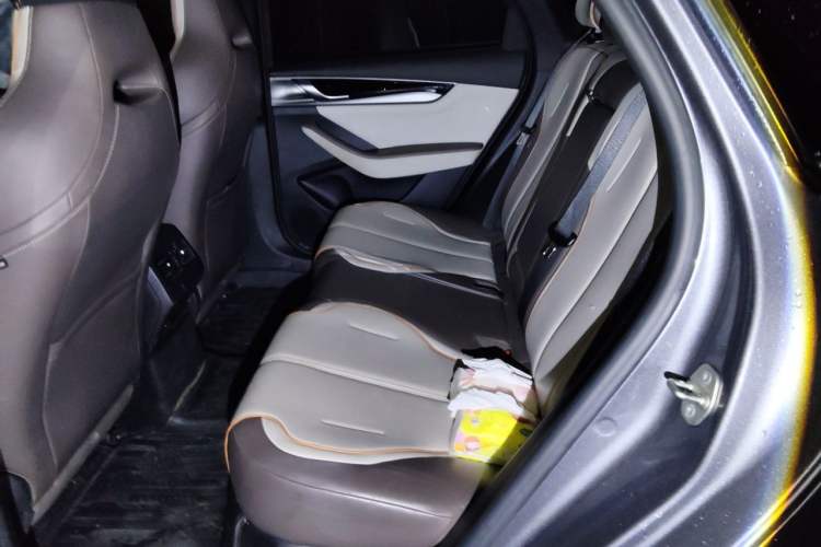Used BYD Qin PLUS 2023 Champion Edition DM-i 120KM Leading Model Left Rear Seat