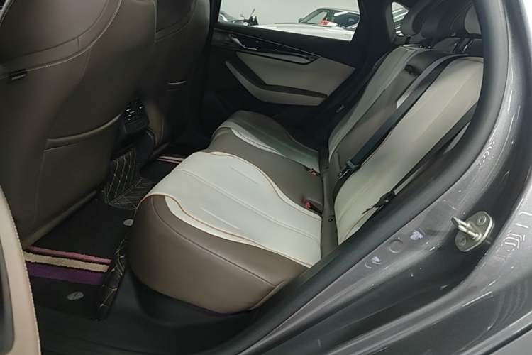 Used BYD Qin PLUS 2023 Champion Edition EV 420KM Superior Model Left Rear Seat