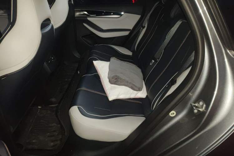 Used BYD Qin PLUS 2023 Champion Edition DM-i 120KM Leading Model Left Rear Seat