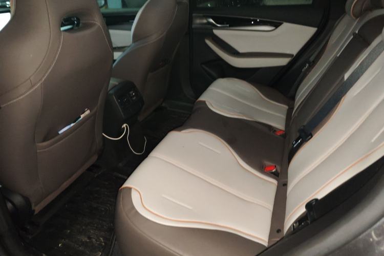 Used BYD Qin PLUS 2023 Champion Edition EV 420KM Leading Model Left Rear Seat