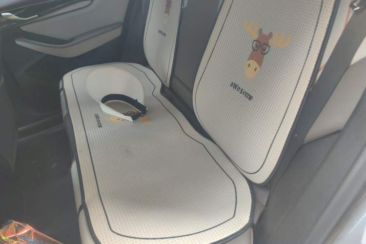 Used BYD Qin PLUS 2023 Champion Edition EV 420KM Superior Model Left Rear Seat