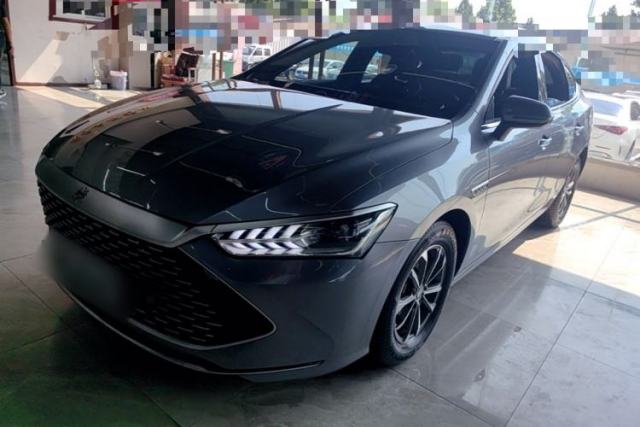 BYD Qin PLUS 2023 Champion Edition DM-i 55KM Leading Model usado