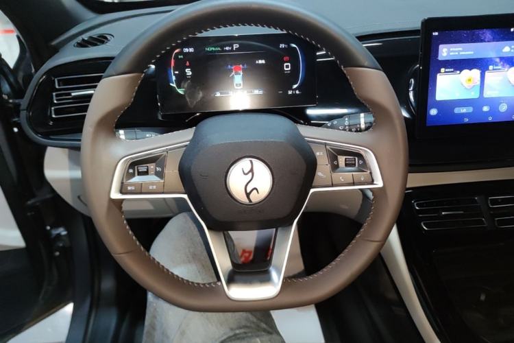 Used BYD Qin PLUS 2023 Champion Edition DM-i 55KM Leading Model Steering Wheel