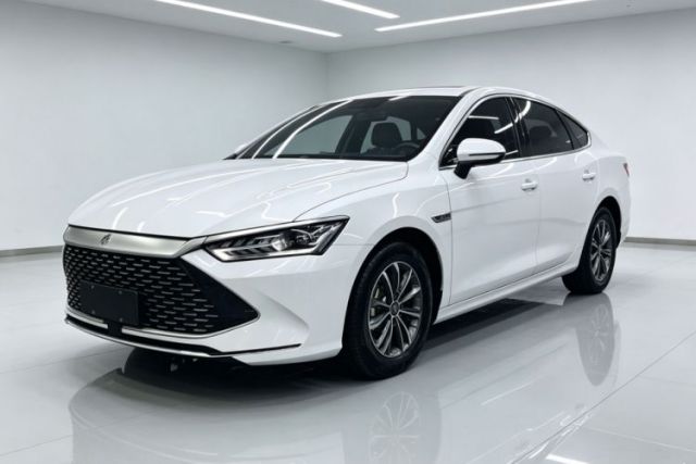 Used BYD Qin PLUS 2023 Champion Edition DM-i 55KM Leading Model