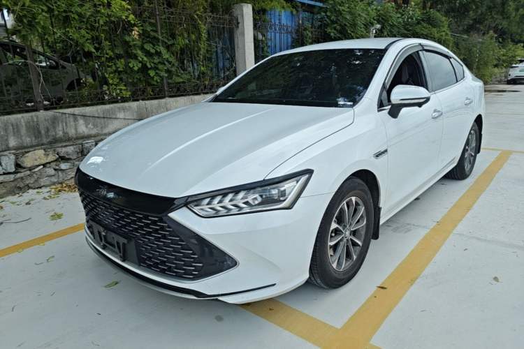 Used BYD Qin PLUS 2023 Champion Edition DM-i 55KM Leading Model Guazi used car, China used car export, Used car for sale, Used  cars, Cheapest cars for sale