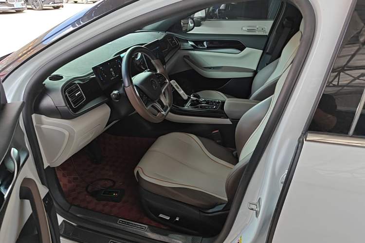Used BYD Qin PLUS 2023 Champion Edition EV 420KM Superior Model Driver Seat