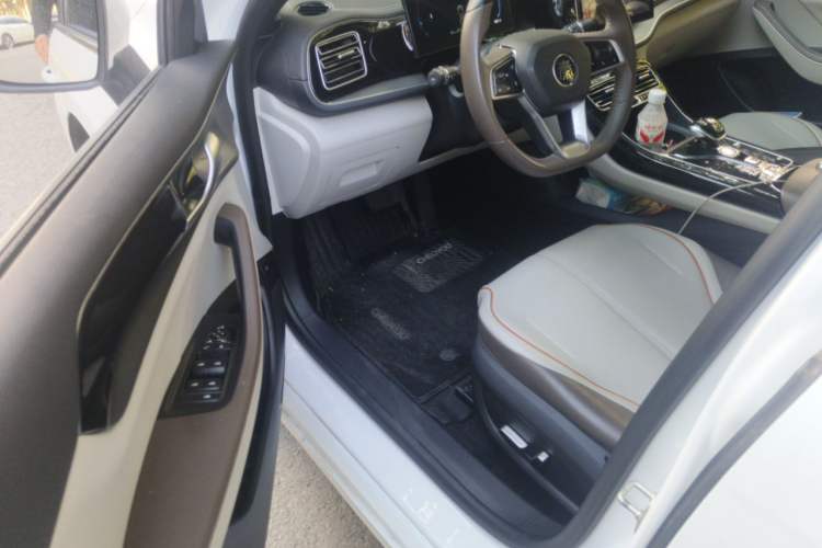 Used BYD Qin PLUS 2023 Champion Edition DM-i 55KM Superior Model Driver Seat