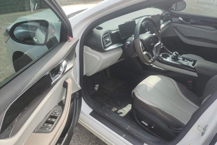 Used BYD Qin PLUS 2023 Champion Edition EV 420KM Superior Model Driver Seat