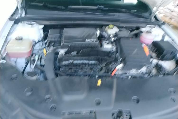 Used BYD Qin PLUS 2023 Champion Edition DM-i 55KM Leading Model Engine Bay
