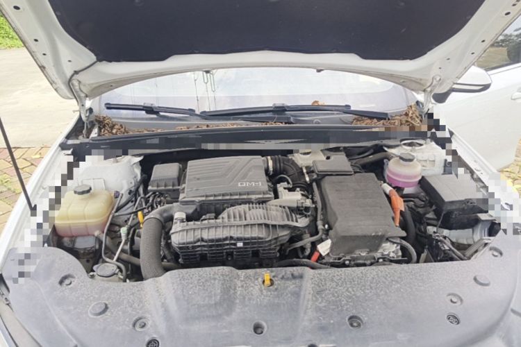 Used BYD Qin PLUS 2023 Champion Edition DM-i 55KM Leading Model Engine Bay