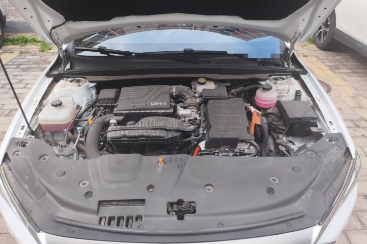 Used BYD Qin PLUS 2023 Champion Edition DM-i 55KM Leading Model Engine Bay