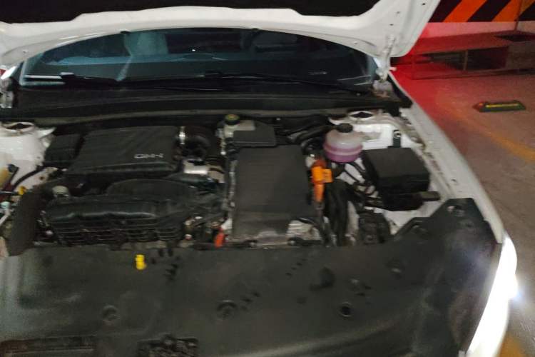 Used BYD Qin PLUS 2023 Champion Edition DM-i 120KM Leading Model Engine Bay Left