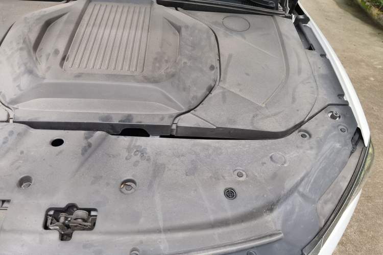 Used BYD Qin PLUS 2023 Champion Edition EV 510KM Leading Model Engine Bay Left