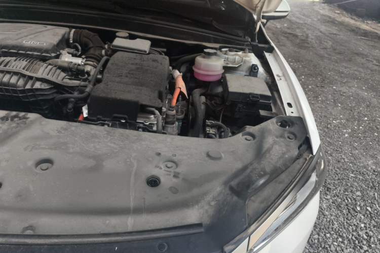 Used BYD Qin PLUS 2023 Champion Edition DM-i 55KM Leading Model Engine Bay Left