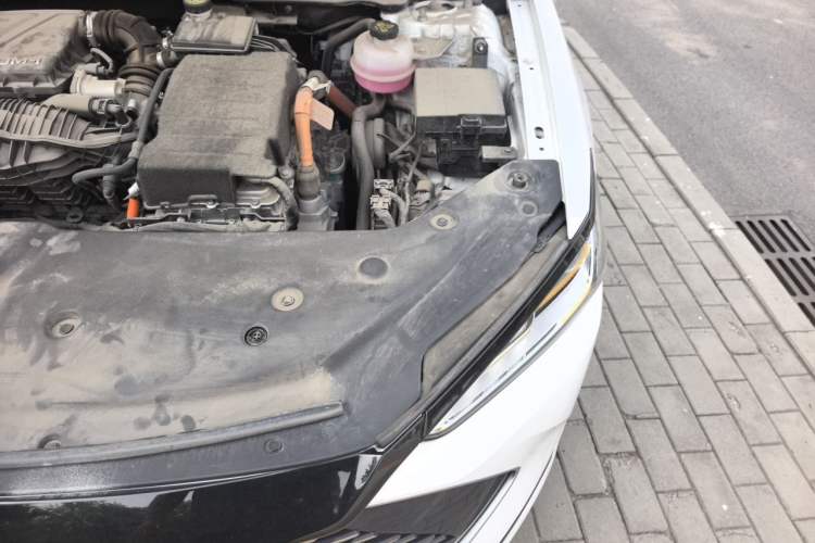 Used BYD Qin PLUS 2023 Champion Edition DM-i 120KM Leading Model Engine Bay Left
