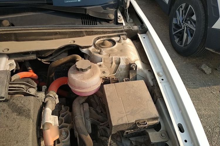 Used BYD Qin PLUS 2023 Champion Edition DM-i 55KM Leading Model Engine Bay Left