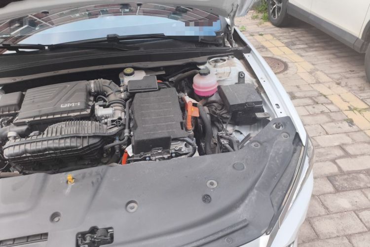 Used BYD Qin PLUS 2023 Champion Edition DM-i 55KM Leading Model Engine Bay Left