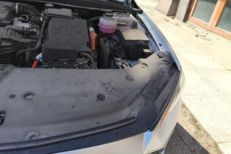 Used BYD Qin PLUS 2023 Champion Edition DM-i 55KM Leading Model Engine Bay Left
