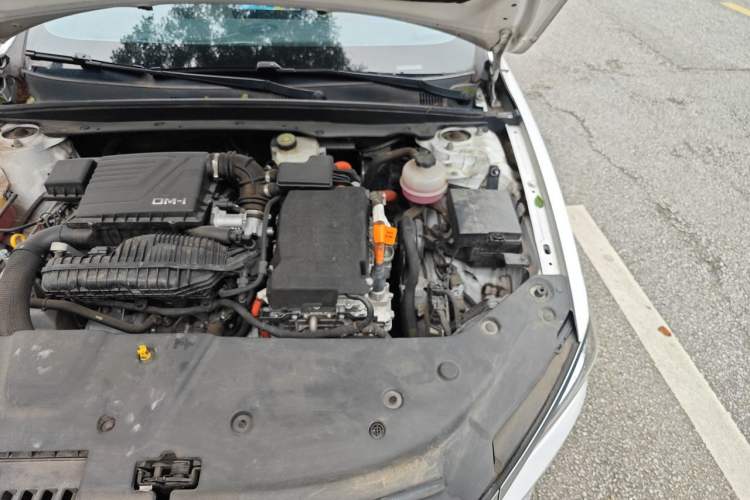 Used BYD Qin PLUS 2023 Champion Edition DM-i 55KM Superior Model Engine Bay Left