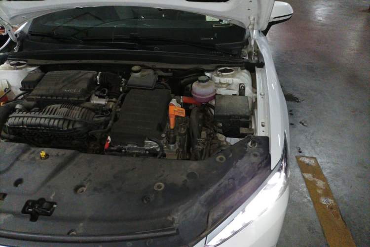 Used BYD Qin PLUS 2023 Champion Edition DM-i 55KM Leading Model Engine Bay Left