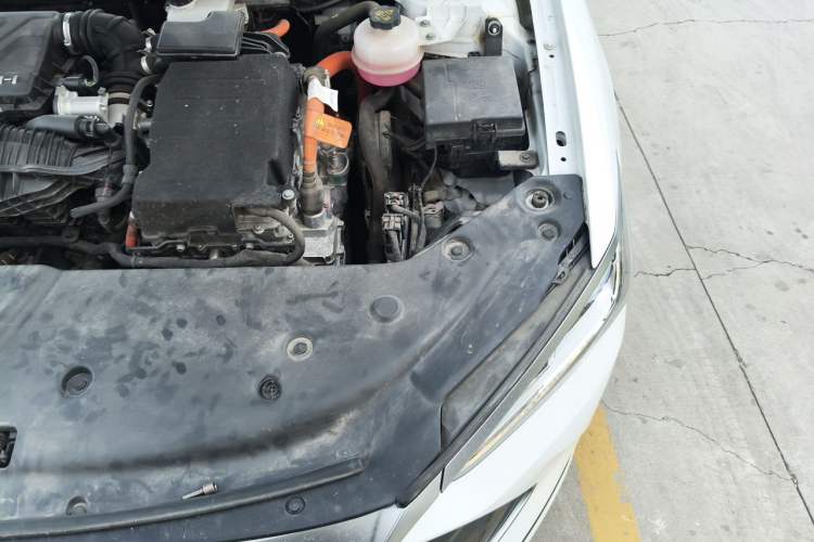 Used BYD Qin PLUS 2023 Champion Edition DM-i 55KM Leading Model Engine Bay Left