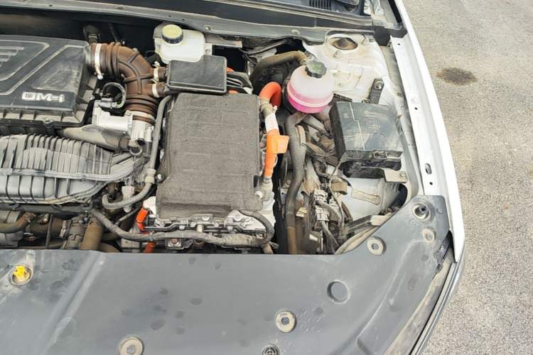 Used BYD Qin PLUS 2023 Champion Edition DM-i 55KM Leading Model Engine Bay Left