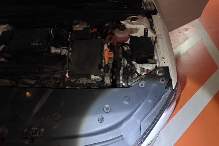 Used BYD Qin PLUS 2023 Champion Edition DM-i 55KM Leading Model Engine Bay Left