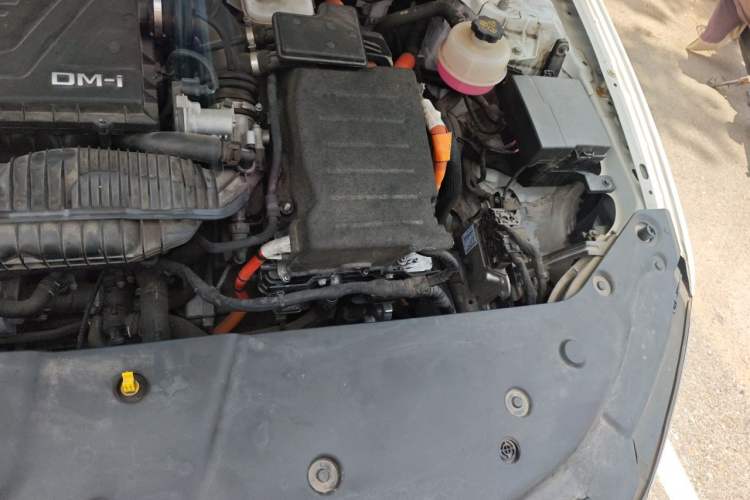 Used BYD Qin PLUS 2023 Champion Edition DM-i 55KM Leading Model Engine Bay Left