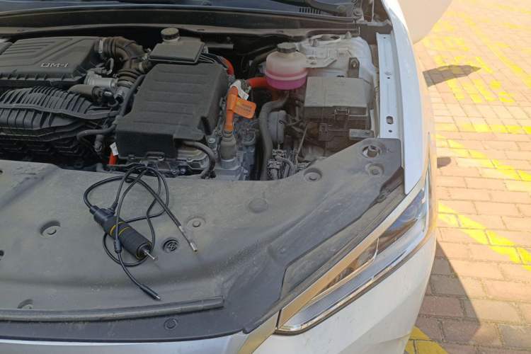 Used BYD Qin PLUS 2023 Champion Edition DM-i 55KM Leading Model Engine Bay Left