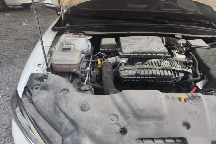Used BYD Qin PLUS 2023 Champion Edition DM-i 55KM Leading Model Engine Bay Right