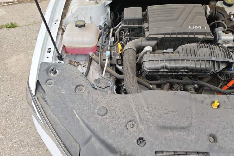Used BYD Qin PLUS 2023 Champion Edition DM-i 55KM Leading Model Engine Bay Right