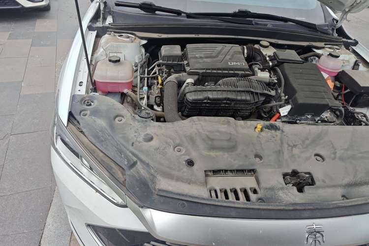 Used BYD Qin PLUS 2023 Champion Edition DM-i 55KM Leading Model Engine Bay Right